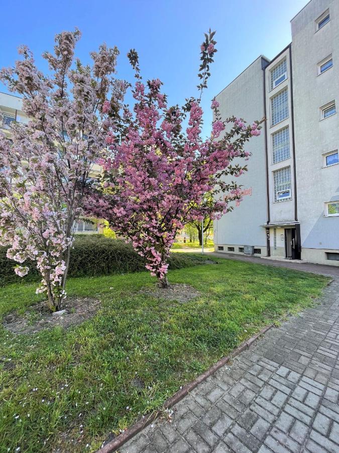 Al-Dom Apartamenty Apartament Zaciszny Kołobrzeg Extérieur photo